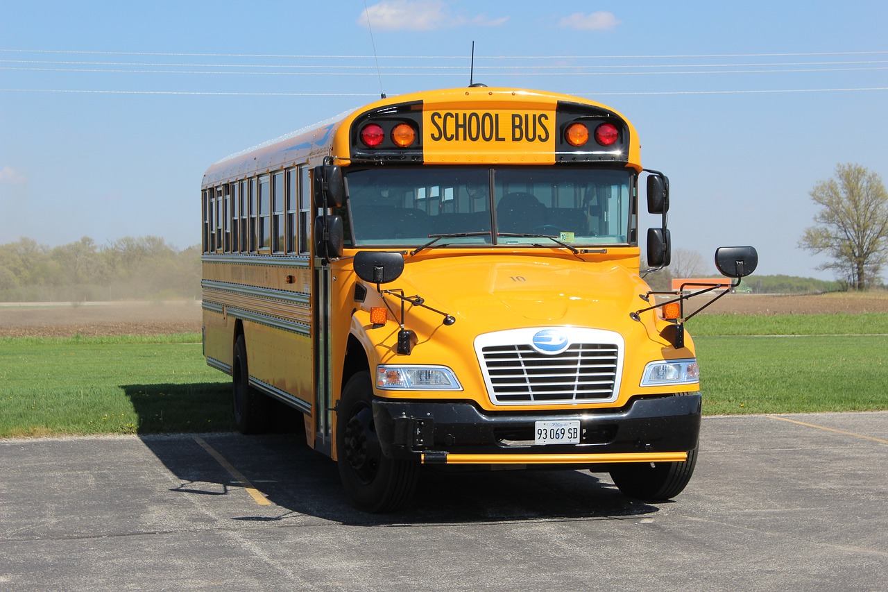 school bus, bus, usa